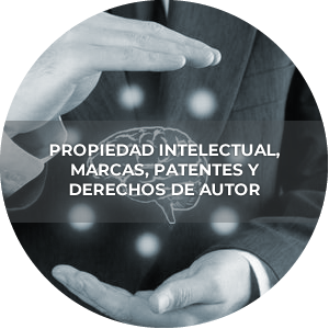 propiedadintelectual propiedadintelectual